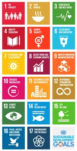 vertical sdg